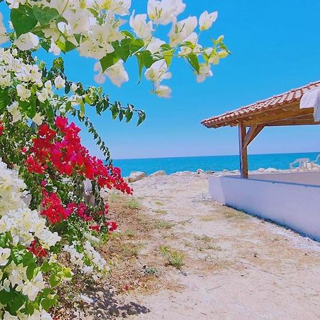 Stay Sea Gem House Meneou エクステリア 写真