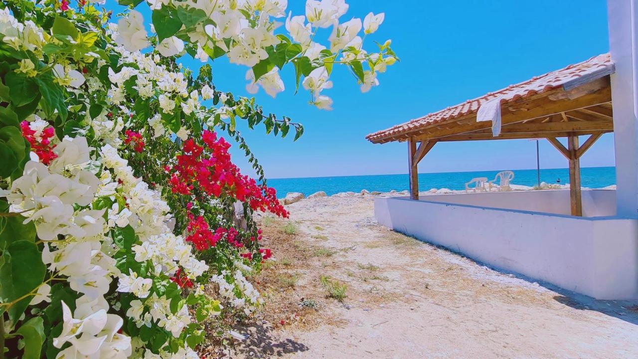 Stay Sea Gem House Meneou エクステリア 写真
